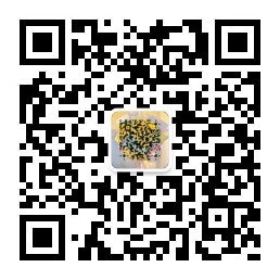 扫码关注灵兔GEO品牌收录AI搜索排名-AI写文自动发布AISEO